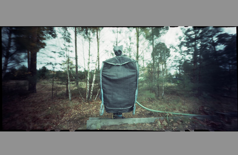 pinhole foto  schutz baum tree protection